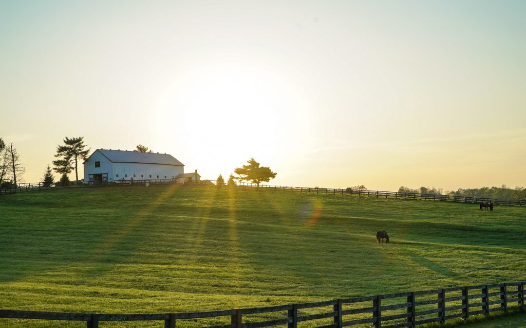 All About Kentucky: Gold, Horses & Bluegrass