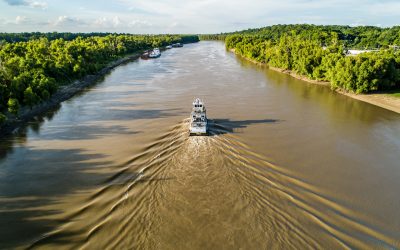 All About Mississippi: Land of the Blues, Sandhill Cranes & Father of Waters