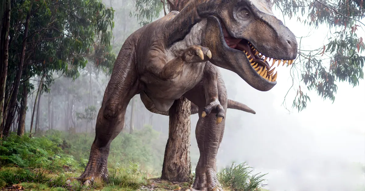 All About Dinosaurs